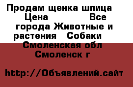 Продам щенка шпица.  › Цена ­ 15 000 - Все города Животные и растения » Собаки   . Смоленская обл.,Смоленск г.